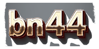 bn44 logo